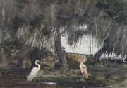 Winslow Homer At Tampa (mk44) china oil painting artist